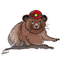 Pika Pete