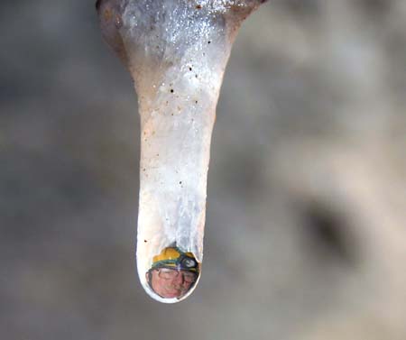 Doug_water_drop