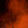 fog.jpg (7791 bytes)