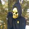 skull.jpg (10645 bytes)