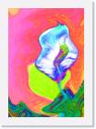 Flower_swirl * 558 x 800 * (46KB)