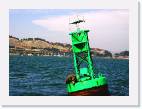 Seal_bouy * 800 x 582 * (77KB)