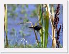 IMG_1399 * 800 x 606 * (53KB)