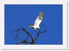 kite_takeoff * 800 x 560 * (20KB)