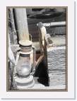 lamp * 582 x 800 * (62KB)