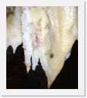 black_chasm_spot * 695 x 800 * (45KB)