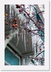 icicles * 533 x 800 * (92KB)