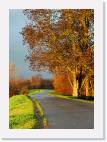 bike_trail * 573 x 800 * (135KB)