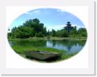 fish_pond * 800 x 607 * (46KB)