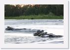 American_river * 800 x 533 * (46KB)