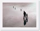 pismo_beach * 800 x 592 * (37KB)