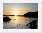 sunset_stump * 800 x 601 * (50KB)